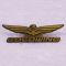 Значок Gold Wing 
