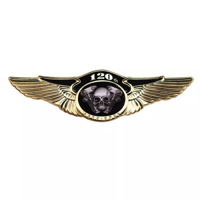 Значок череп 120