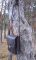 Сумка 2  краст (коньяк )